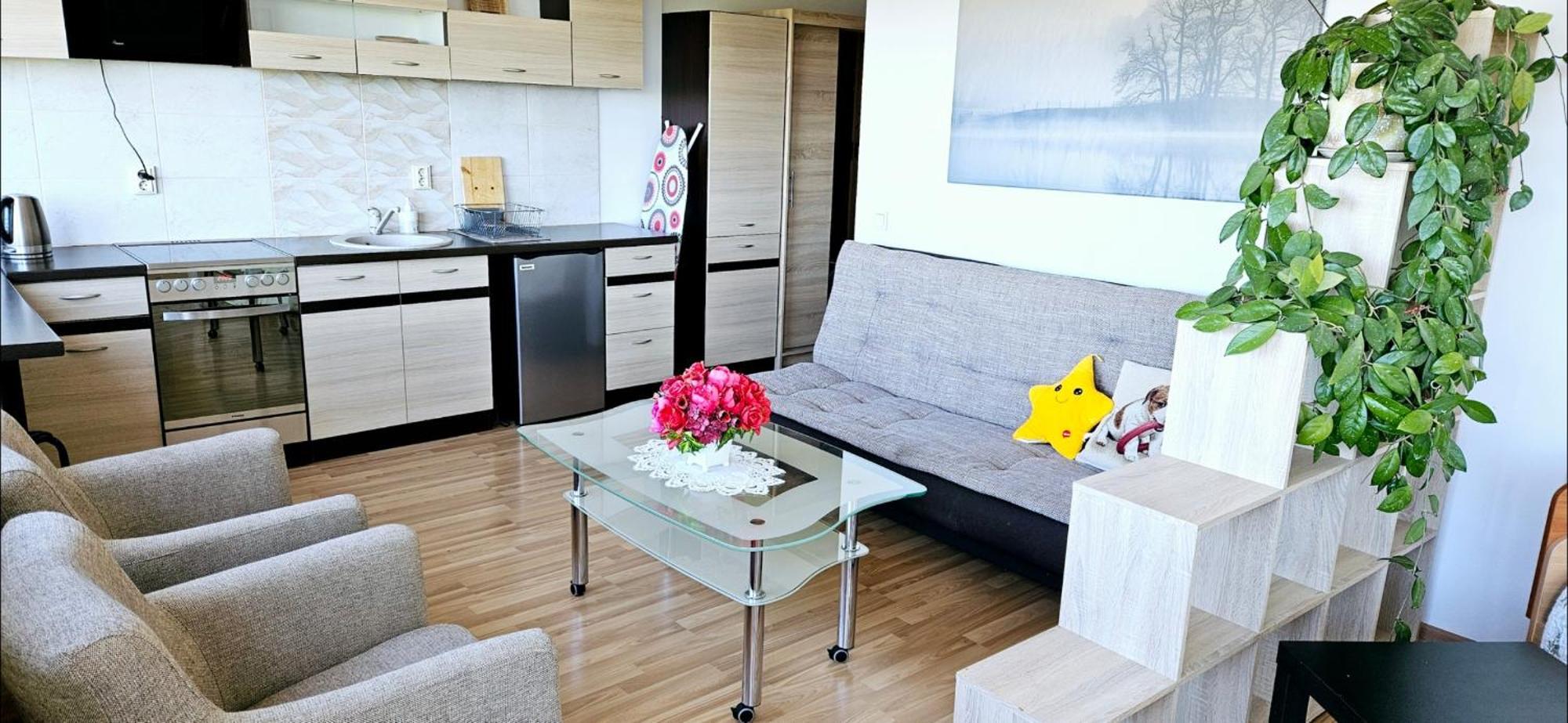 Ferienwohnung Veziu 10 Palanga Exterior foto